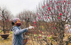 huyen thuong tin san sang ve dich nong thon moi nang cao