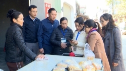 xa thuong phuc tong dieu tra kinh te nam 2026