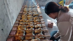 Thưởng thức đặc sản cá nướng Thái Xuyên (Thái Bình) trong ngày Tết