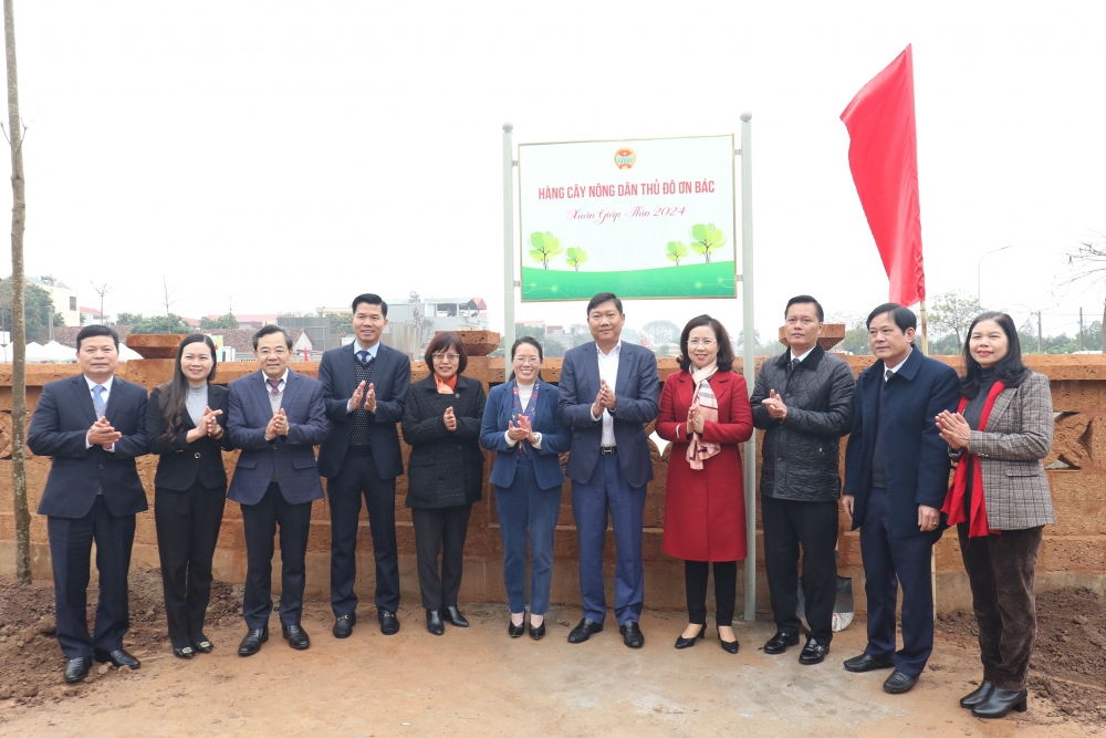 Hội Nông dân thành phố Hà Nội phấn đấu trồng mới 30.000 cây xanh
