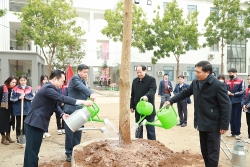 Ngành giáo dục Hà Nội phấn đấu trồng mới 15 nghìn cây xanh
