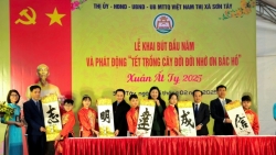 thi xa son tay phat dong tet trong cay va khai but dau xuan at ty 2025