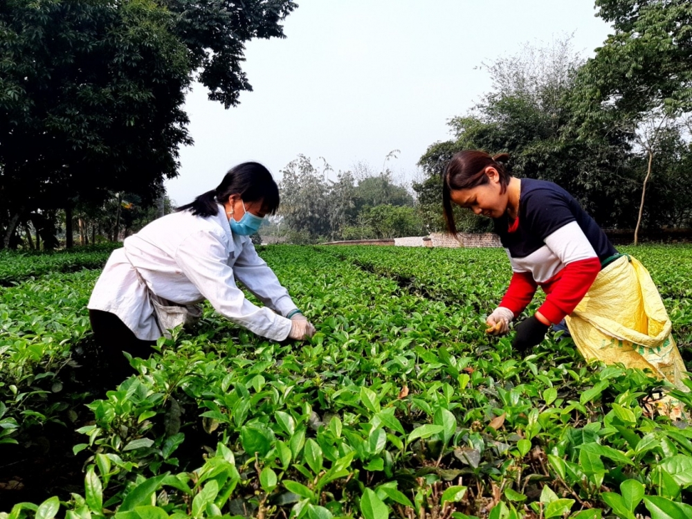 Bài cuối: Chính quyền quyết liệt, người dân mong chờ Bài cuối: Chính quyền quyết liệt, người dân mong chờ