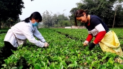 bai cuoi chinh quyen quyet liet nguoi dan mong cho