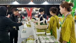 ha noi khai mac le hoi xuan binh ngo 2026 tai truong dua f1