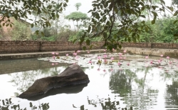 tang da ca tre ke chuyen ve phep mau nhiem cua duc thanh tan vien