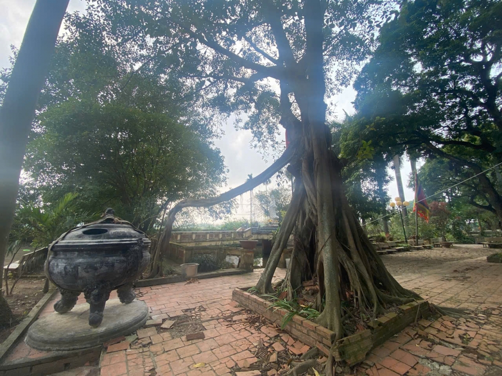 Quang cảnh u tĩnh tại ngôi đền cổ kính 