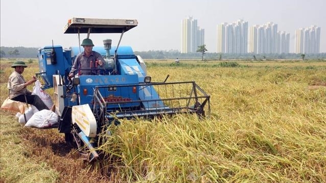 Hà Nội đẩy mạnh nông nghiệp công nghệ cao