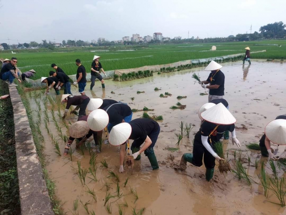 Du khách quốc tế hóa thân làm nông dân tại làng cổ Đường Lâm