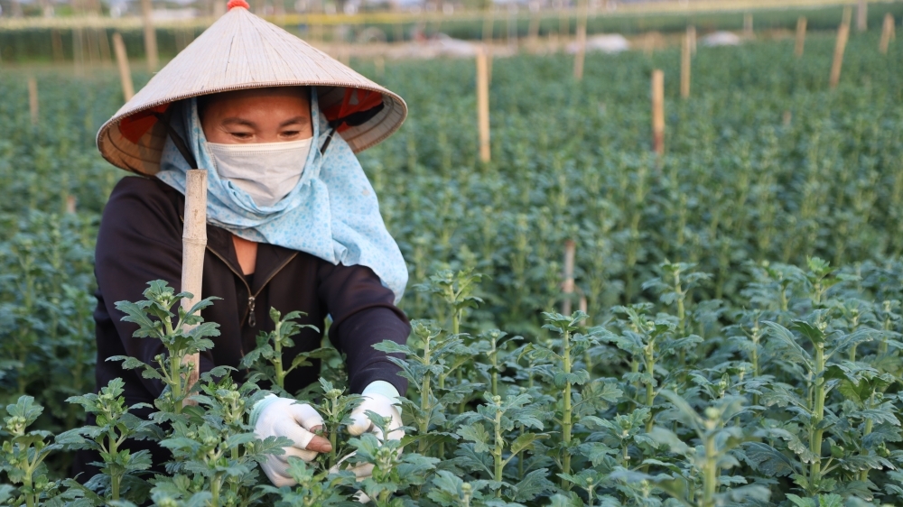 Hà Nội: Giải pháp đối phó nguy cơ hạn hán, thiếu hụt nguồn nước