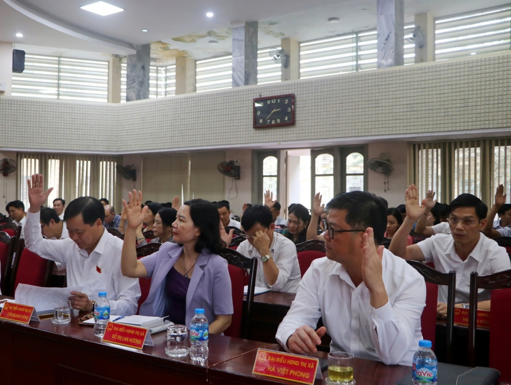 Các đại biểu biểu quyết tán thành nghị quyết