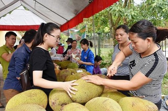 Mê tít... mít Sơn Tây