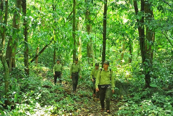 Giám đốc VGQ Cúc Phương: Sứ mệnh cao cả là bảo vệ rừng!