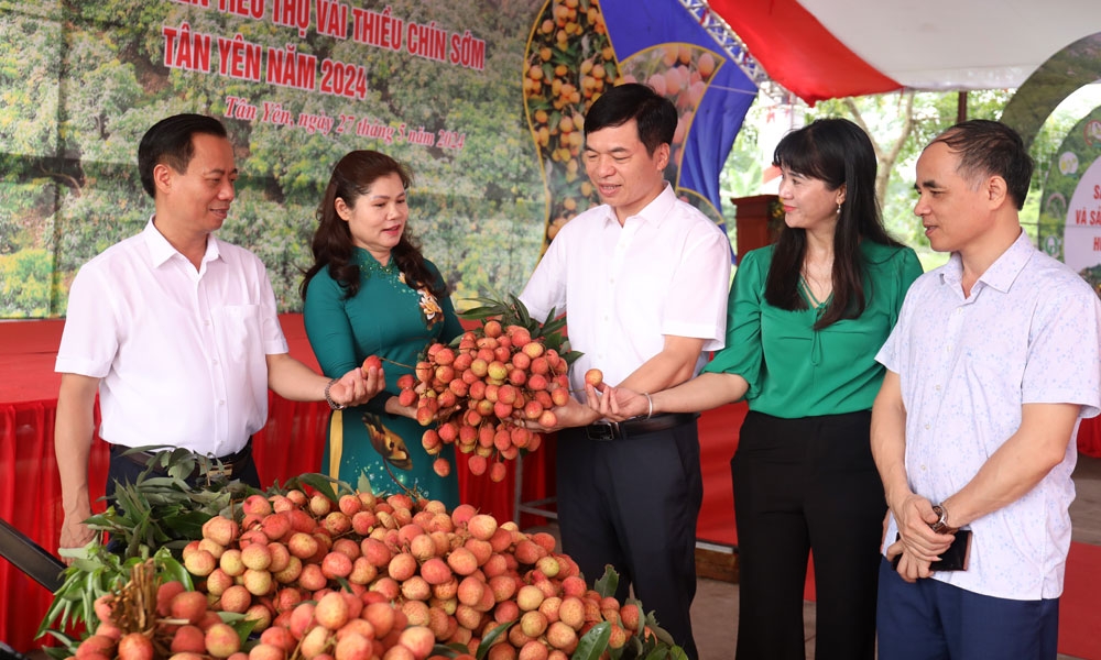 Đồng chí Lâm Thị Hương Thành cùng các đại biểu tham quan gian trưng bày vải thiều sớm huyện Tân Yên
