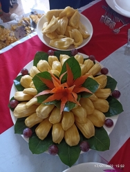 thi xa son tay to chuc hoi thi mit lan thu nhat