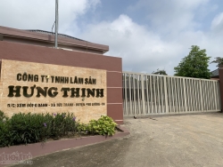 Công ty TNHH Lâm sản Hưng Thịnh bị phạt hơn 90 triệu đồng, buộc tháo dỡ công trình xây dựng trái phép