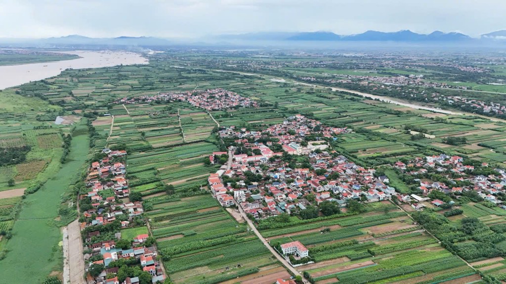 Xã đảo Minh Châu biệt lập giữa sông Hồng Xã đảo Minh Châu biệt lập giữa sông Hồng