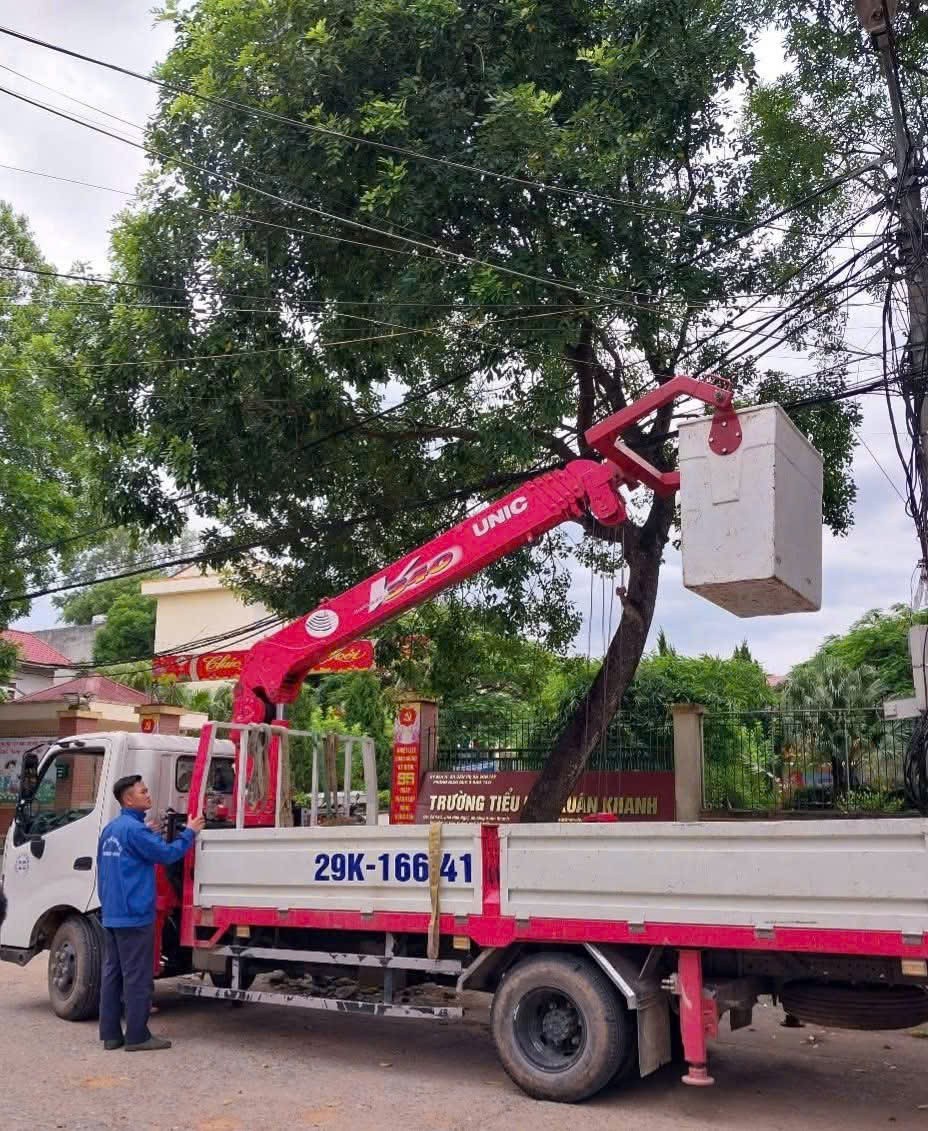 Phường Tùng Thiện: Cắt tỉa cây xanh, sẵn sàng ứng phó cơn bão số 3
