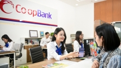 Co-opBank đẩy mạnh việc triển khai dịch vụ Ngân hàng số tới thành viên