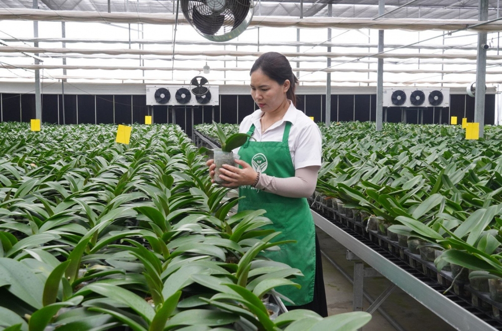 Huyện Mê Linh: Đối thoại về “Phát triển các mô hình nông nghiệp chất lượng cao”