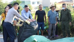 pho bi thu thuong thuc thanh uy ha noi chung tay tong ve sinh moi truong