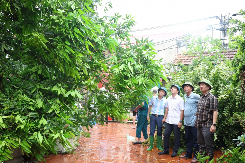 Bí thư Đảng ủy xã Mê Linh kiểm tra công tác khắc phục hậu quả bão số 5 Bí thư Đảng ủy xã Mê Linh kiểm tra công tác khắc phục hậu quả bão số 5
