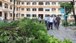 Bí thư Đảng ủy xã Mê Linh kiểm tra công tác khắc phục hậu quả bão số 5