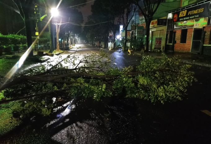 Cây xanh trên đường Tăng Bạt Hổ, TP Pleiku, bị gió quật ngã, sáng 28/9.