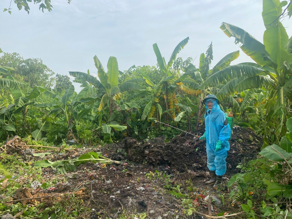 Sau khi tiêu hủy, xã Phú Xuyên bố trí lực lượng thanh trùng nhằm đảm bảo dịch bệnh trên lợn không lây lan.