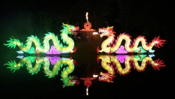 nguoi dan son tay vo oa cam xuc voi doi rong phun lua phun nuoc