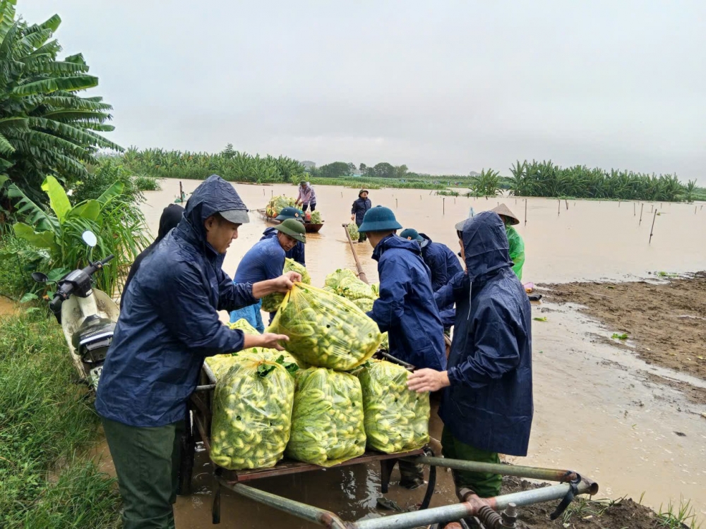 Xã đảo Minh Châu chủ động ứng phó bão, lũ Xã đảo Minh Châu chủ động ứng phó bão, lũ