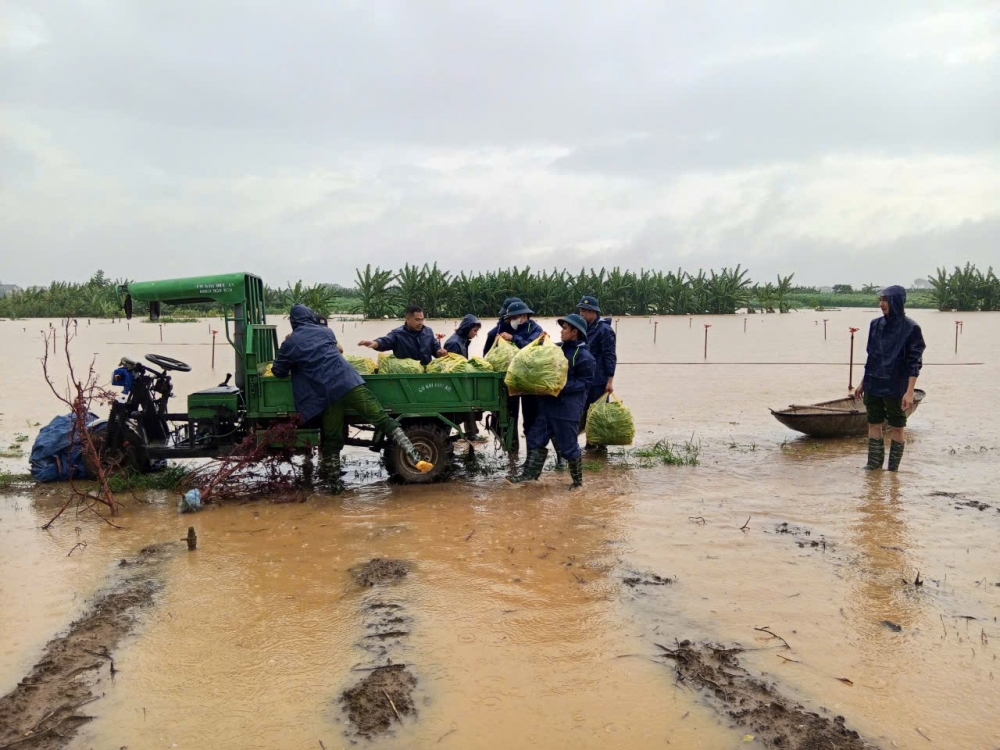 Xã đảo Minh Châu chủ động ứng phó bão, lũ Xã đảo Minh Châu chủ động ứng phó bão, lũ
