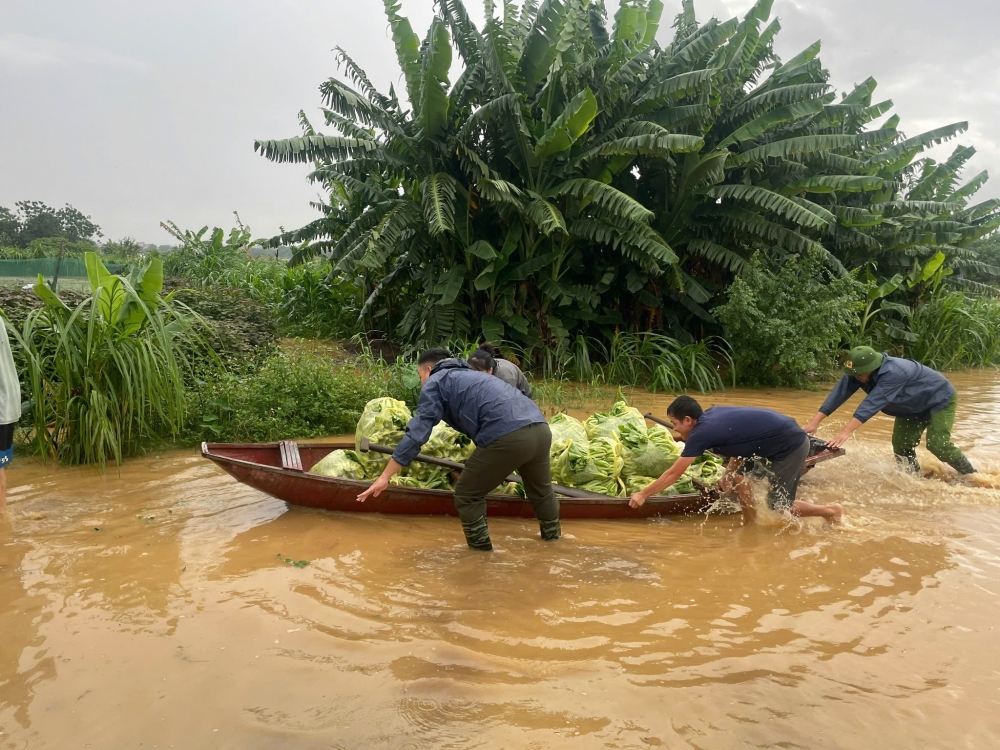 Một số hình ảnh hỗ trợ người dân chống bão, lũ tại Minh Châu. Một số hình ảnh hỗ trợ người dân chống bão, lũ tại Minh Châu.