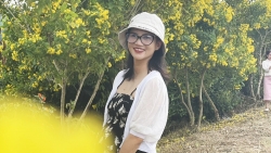 Mải mê với hoa vàng trên núi xanh