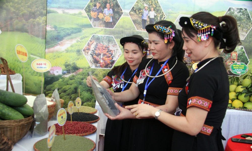 Bắc Giang: Nâng tầm gà đồi Yên Thế