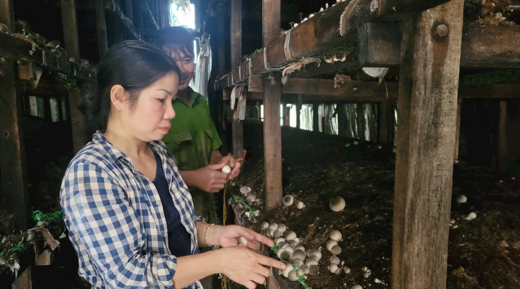 Khai thác Khai thác