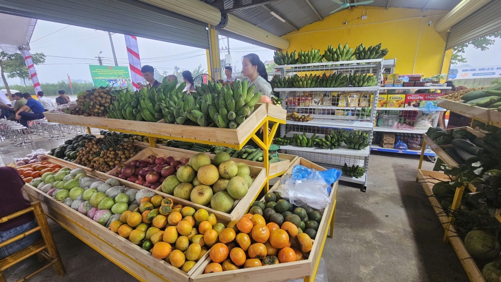 Điểm cuối hành trình xe buýt đến Minh Châu là không gian văn hóa, ẩm thực đầy sắc màu.