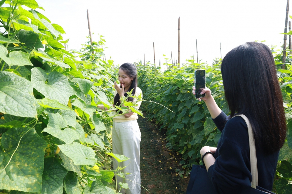 Minh Châu - điểm đến du lịch yên bình, nên thơ giữa sông Hồng