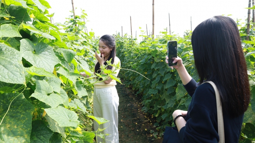 Minh Châu - điểm đến du lịch yên bình, nên thơ giữa sông Hồng