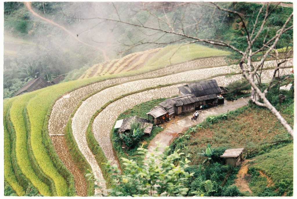 Bản làng vùng cao lấp ló trong sương sớm. Ảnh: Đức Anh