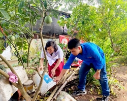 son tay gong minh doi pho voi sot xuat huyet