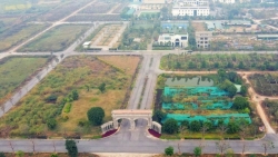 ha noi giao 17ha dat lam nha lien ke nha o xa hoi tai xa quang minh