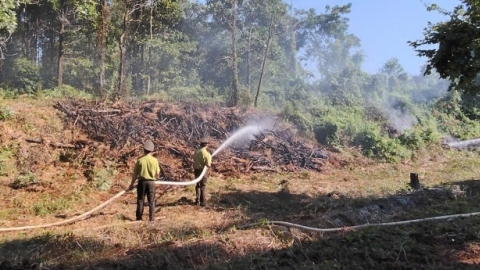 Xã Đoài Phương diễn tập phòng cháy, chữa cháy rừng