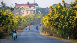 dien mao tuoi sang tai xa kieu mau dau tien cua son tay