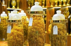 vi sao sam ngoc linh duoc coi la tot nhat the gioi