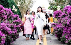 huyen me linh to chuc le hoi hoa lon nhat mien bac