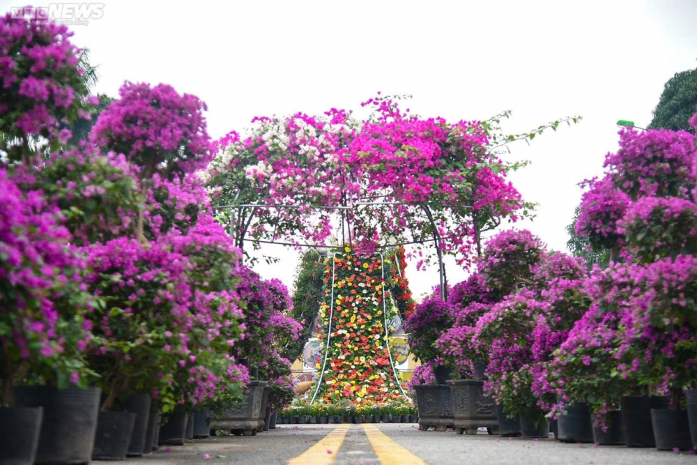 Học sinh Mê Linh thi tiếng Anh, nhảy đường phố chào mừng festival hoa