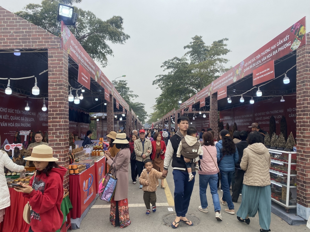 Du khách thưởng ngoạn festival hoa Mê Linh