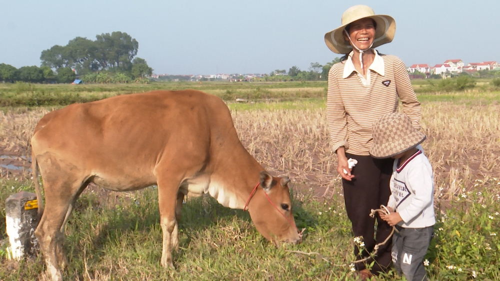 Trao sinh kế thiết thực cho hộ khó khăn ở Phú Xuyên