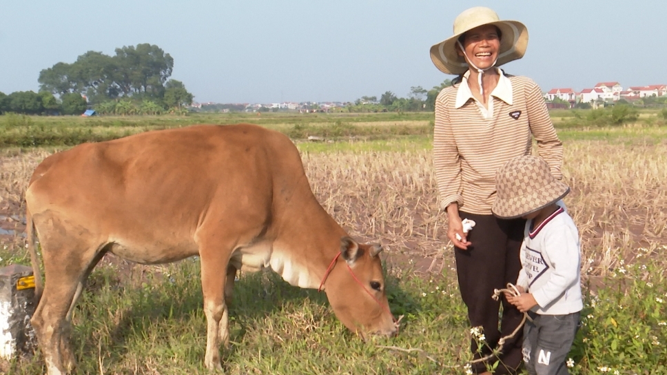 Trao sinh kế thiết thực cho hộ khó khăn ở Phú Xuyên